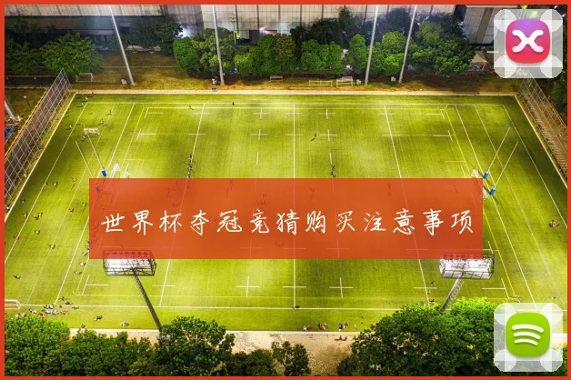 世界杯夺冠竞猜购买注意事项